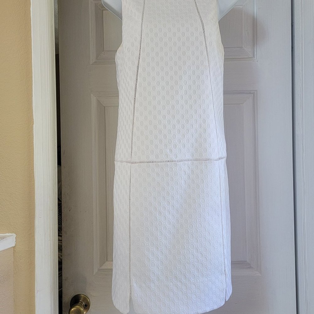 Shelli Segal Dress